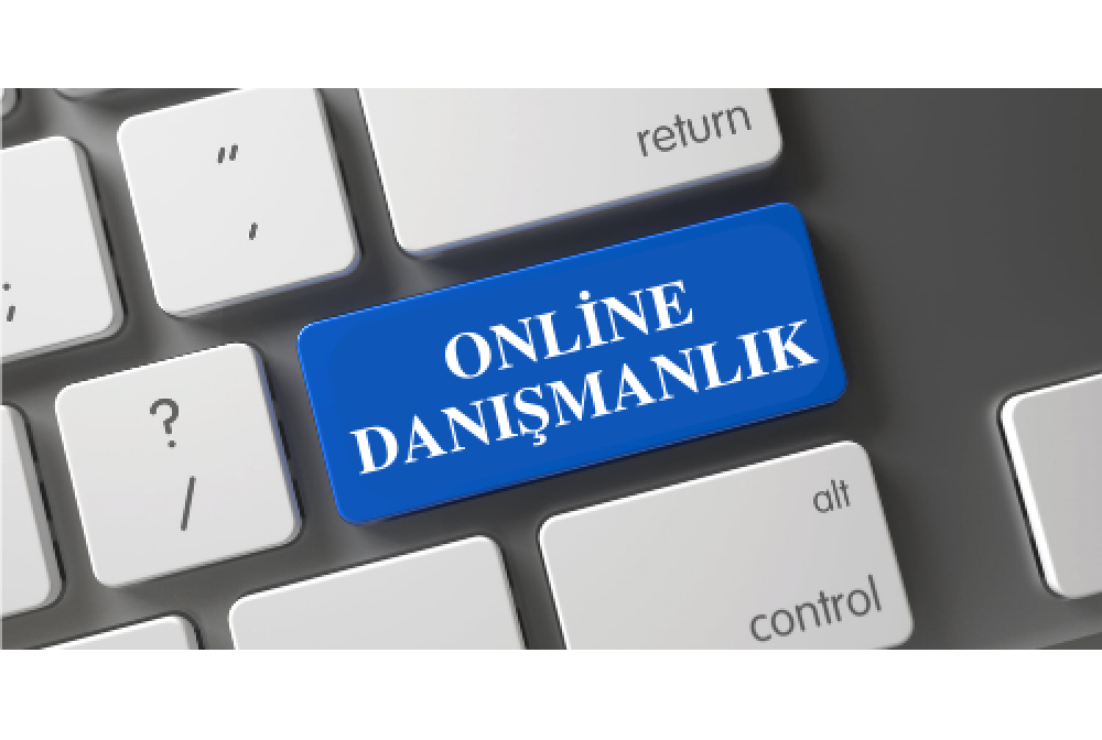 online_danismanlik