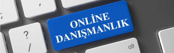 online_danismanlik