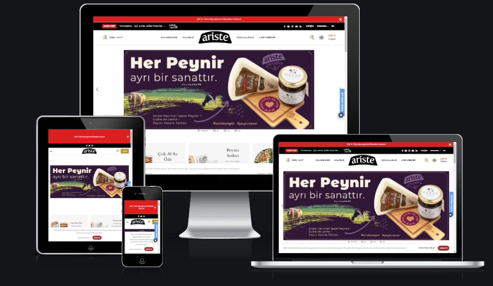 Ariste web tasarım projesi
